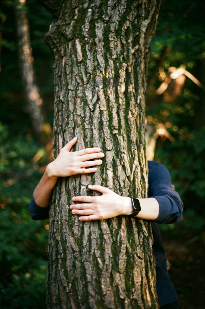Arms hugging tree.