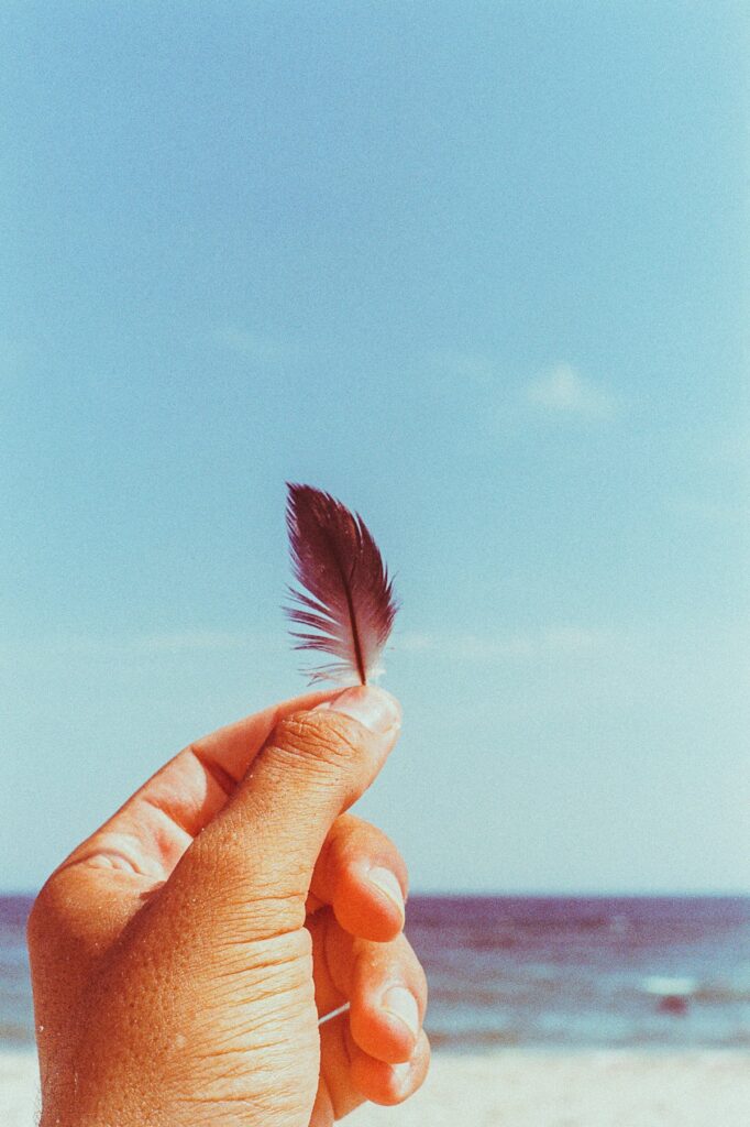 Hand holding small feather.