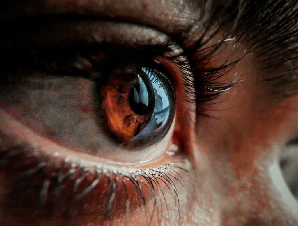 A human eye.