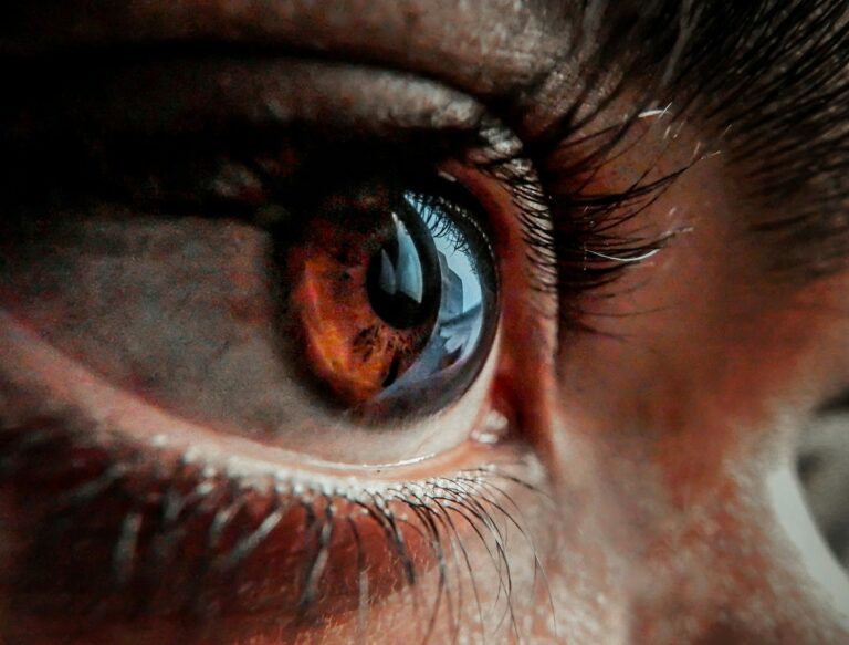 A human eye.