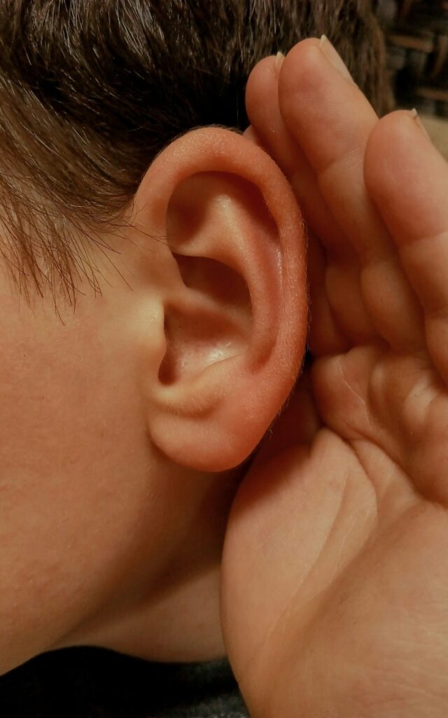A human ear.