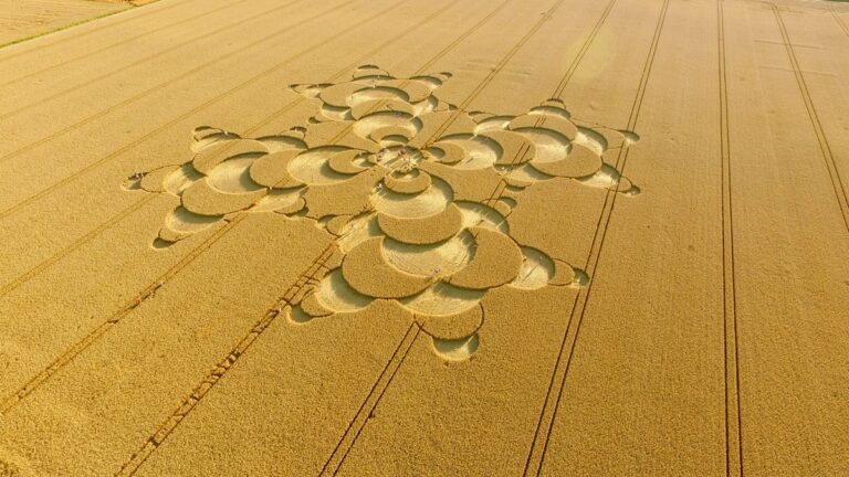 Cropcircles.