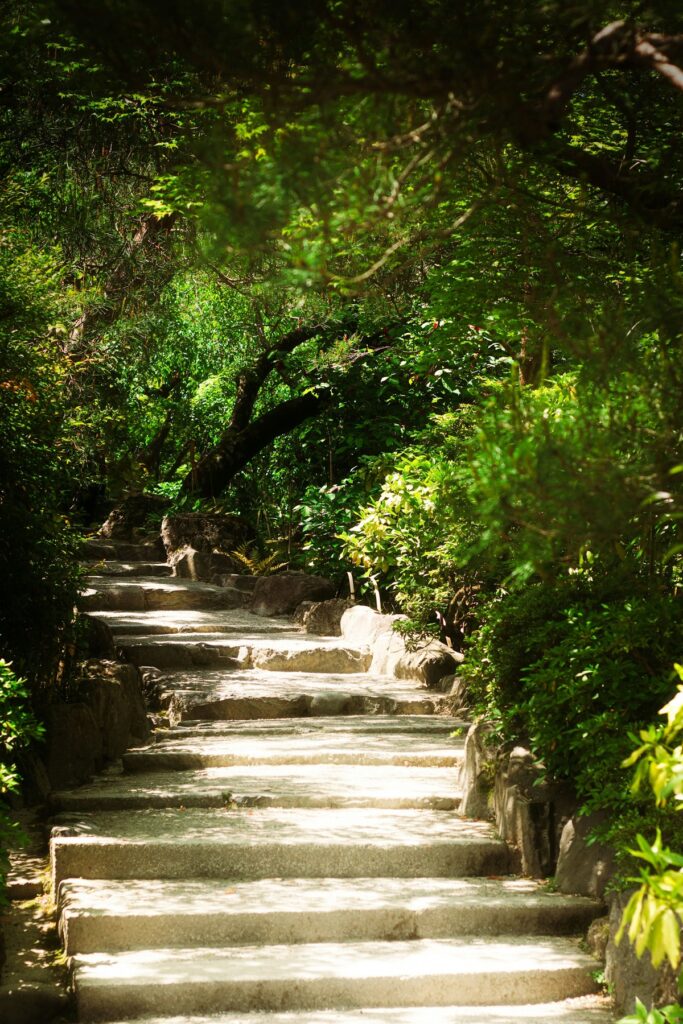 Path through forest with stairs.